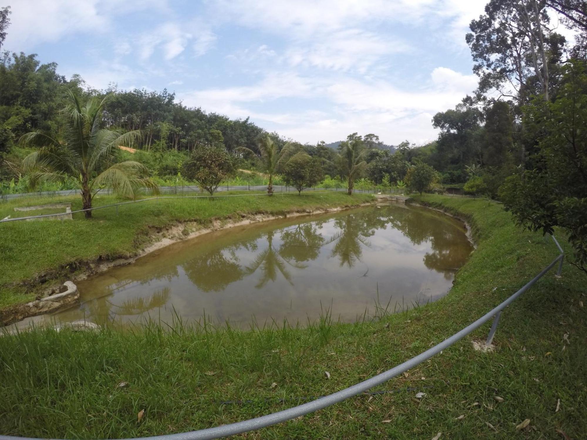 Santai De Lui Resorts Kampong Masjid  Eksteriør billede